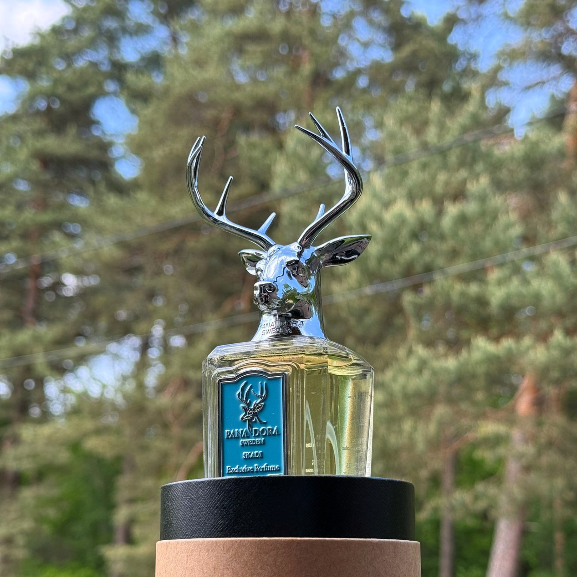 PANA DORA Skadi EdP