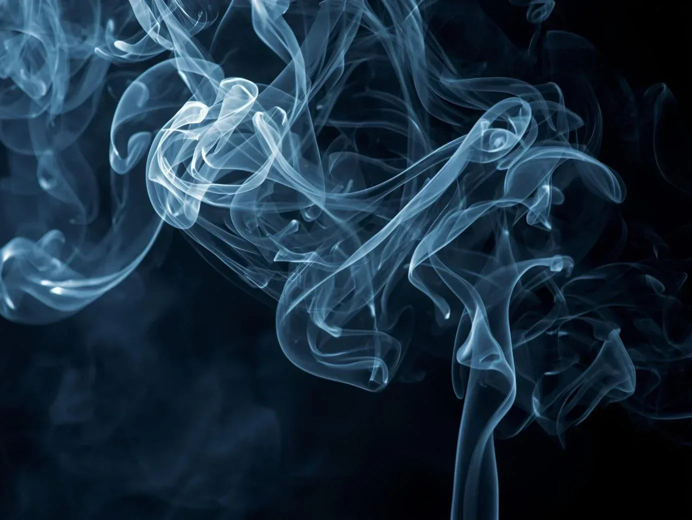 Grupa olfaktoryczna: Kadzidlana - Eau de Poudel