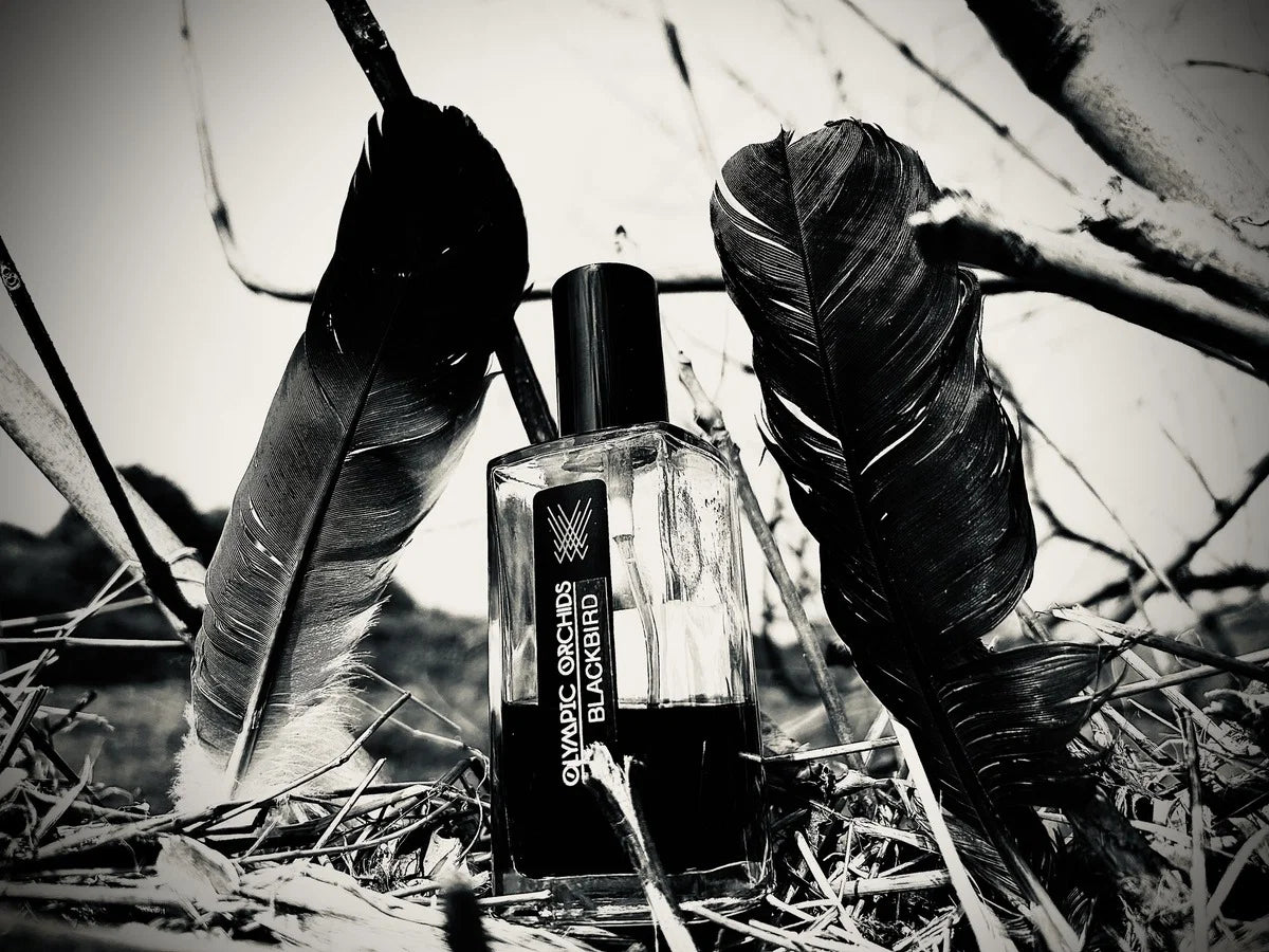 OLYMPIC ORCHIDS Blackbird Parfum