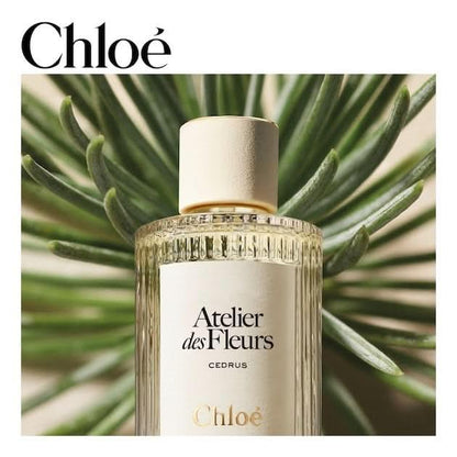 CHLOE Atelier des Fleurs Cedrus EDP - Eau de Poudel