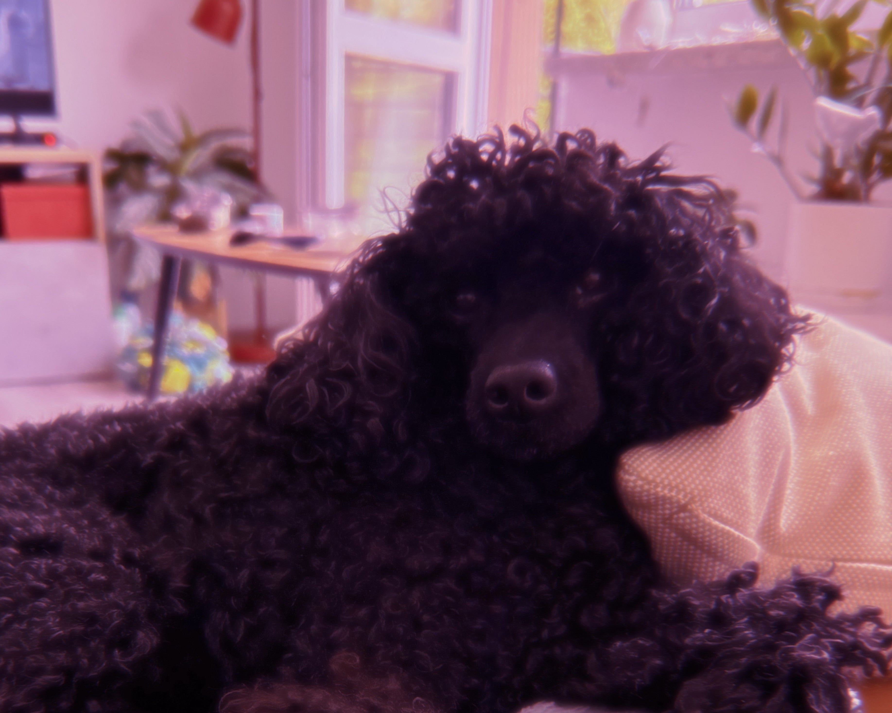 Loyalty program hero cover photo