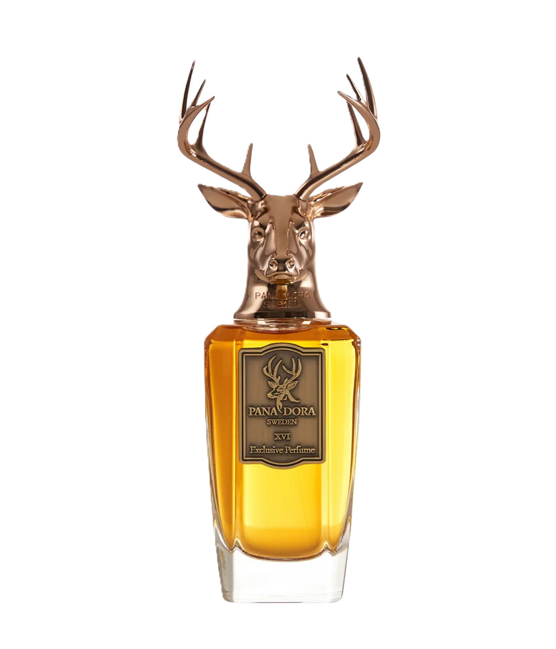 PANA DORA XVI EdP