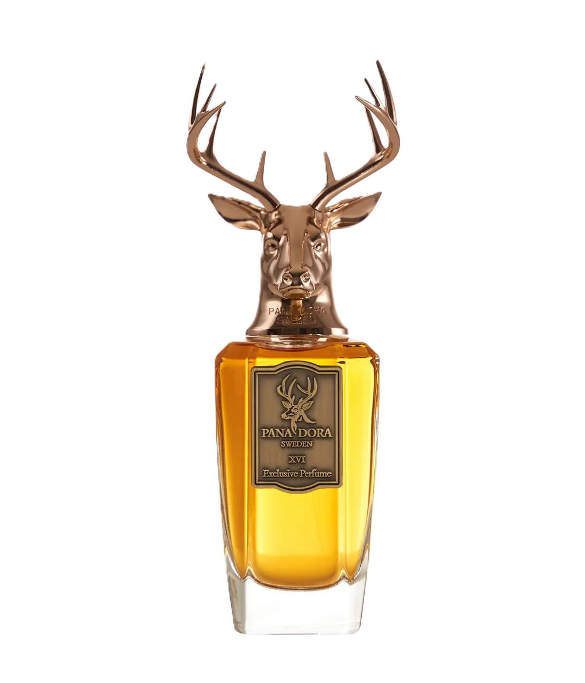 PANA DORA XVI EdP