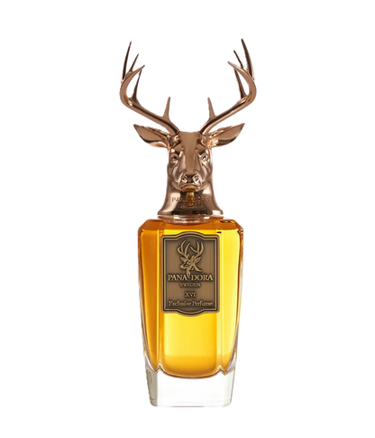 PANA DORA XVI EdP