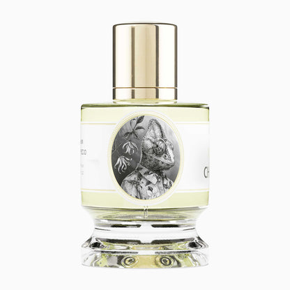 ZOOLOGIST Chameleon Extrait