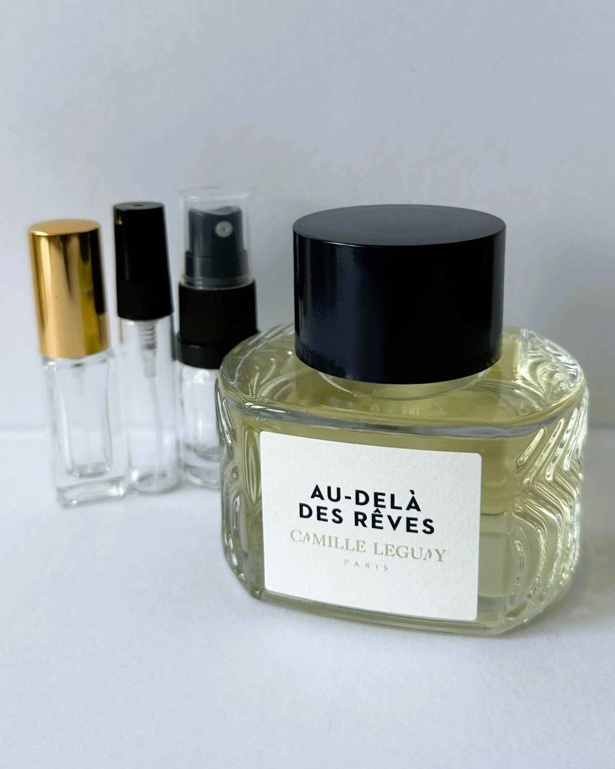 camille leguay au-dela des reves