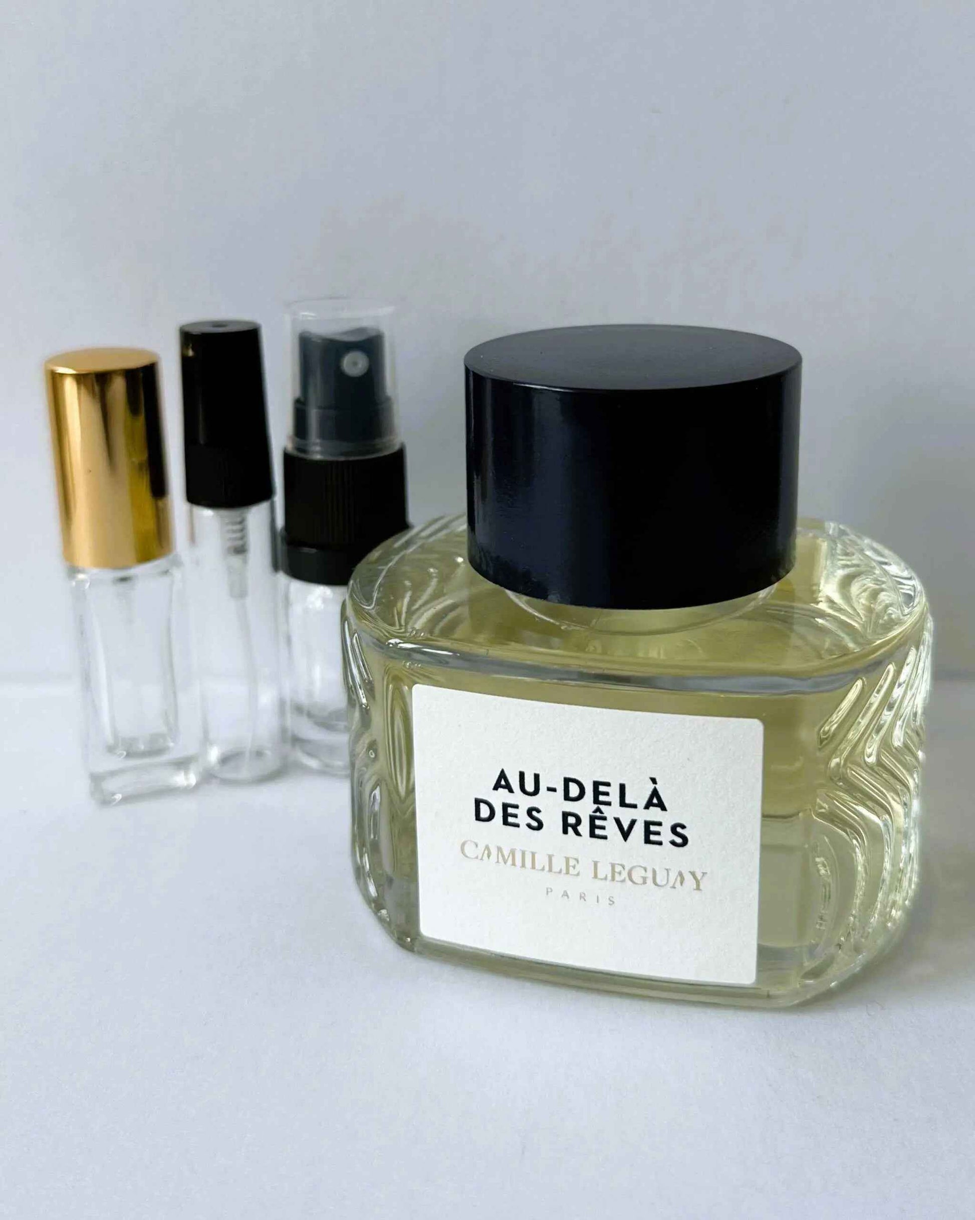 CAMILLE LEGUAY Au-dela des Reves