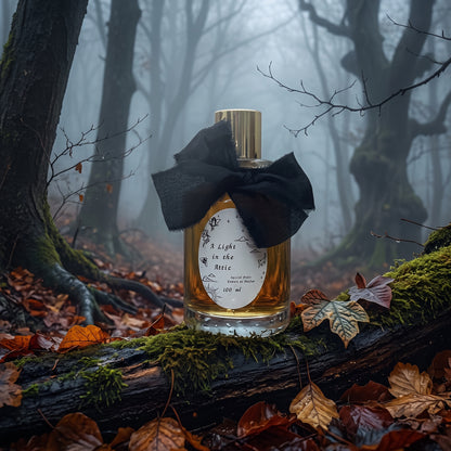 SORCE A Light In The Attic Extrait
