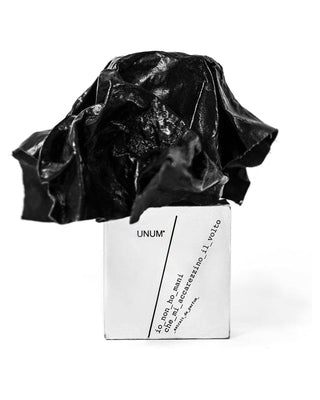 FILIPPO SORCINELLI Io Non Ho Mani Che Mi Accarezzino Il Volto Extrait