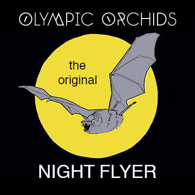 OLYMPIC ORCHIDS Night Flyer Parfum