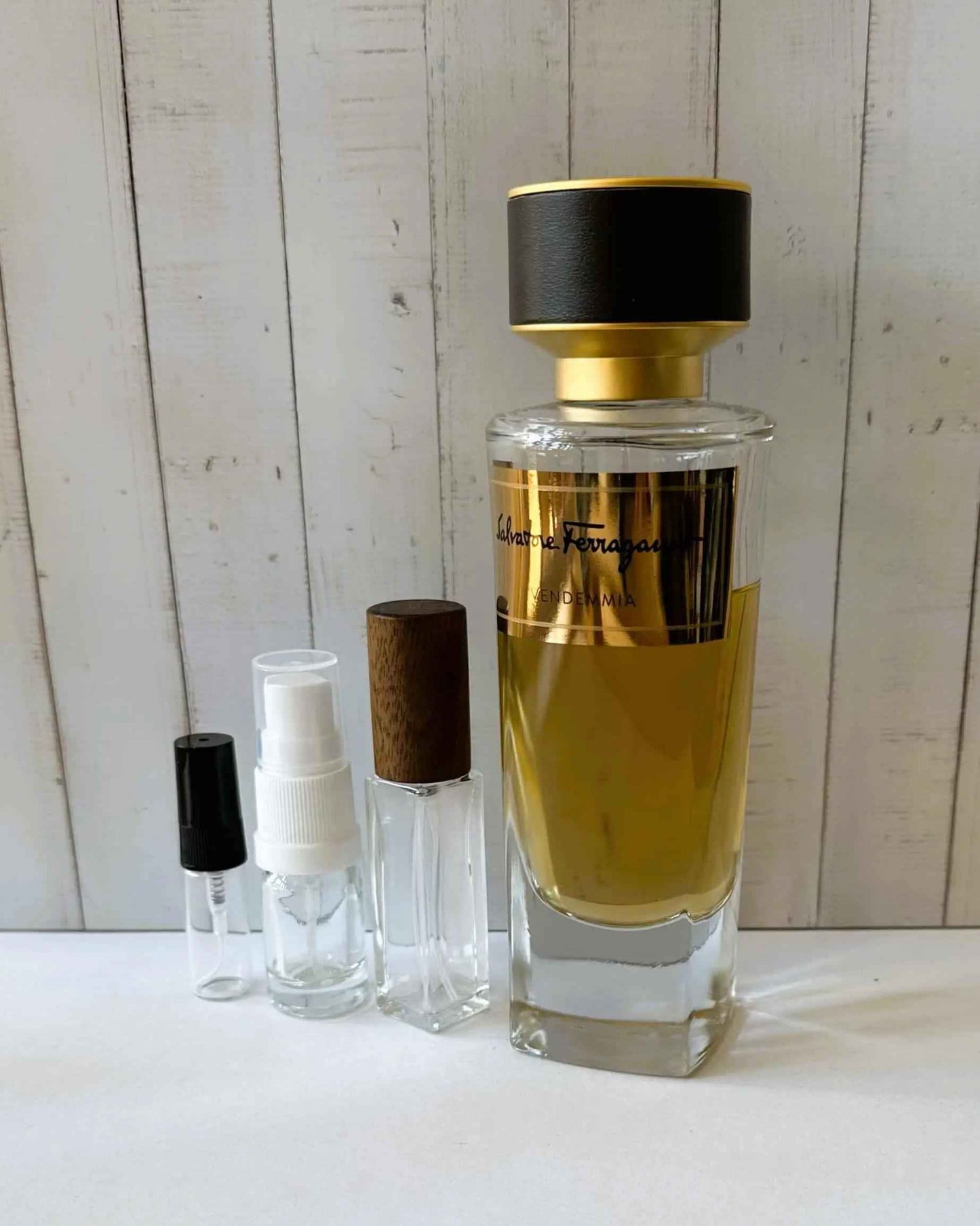 SALVATORE FERRAGAMO Vendemmia