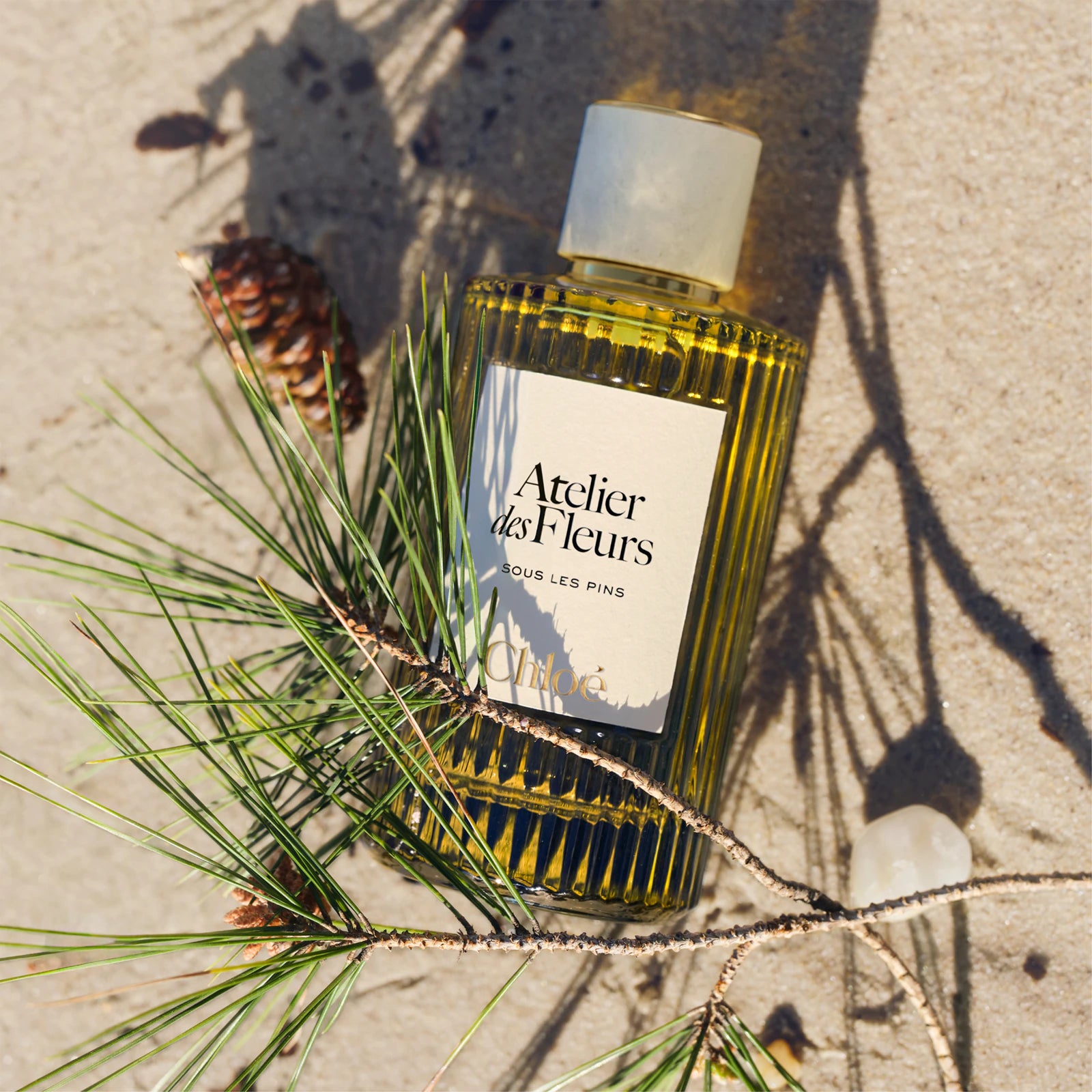 CHLOE Sous les Pins EdP