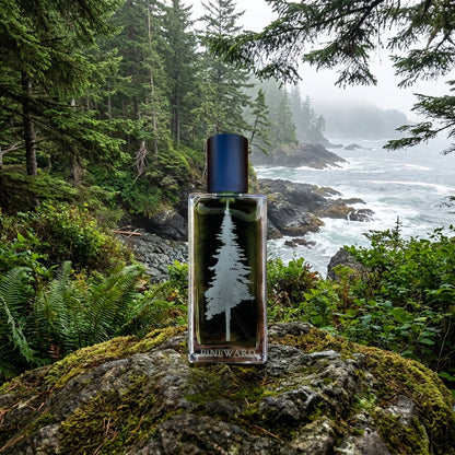 PINEWARD Coastal Veil EDT