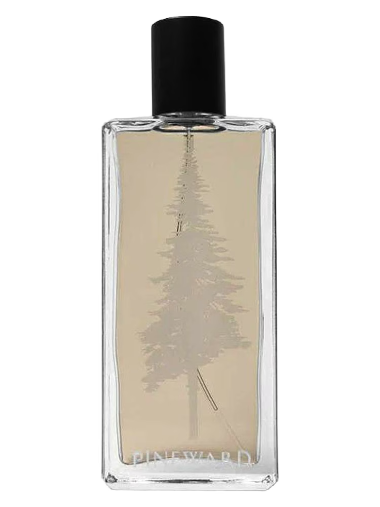 PINEWARD Holy Cross EDT