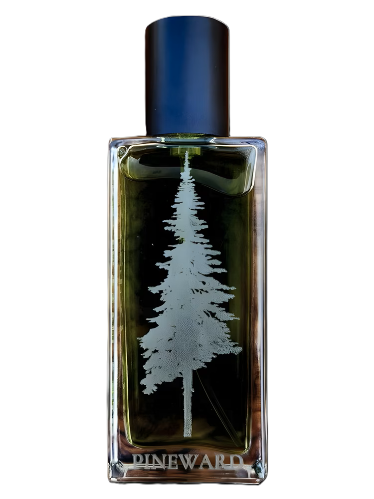 pineward coastal veil
