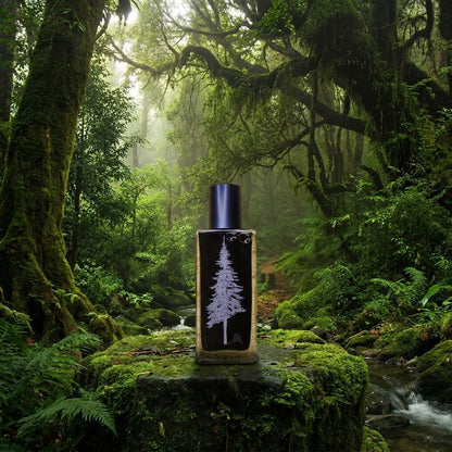 PINEWARD Fanghorn II Extrait