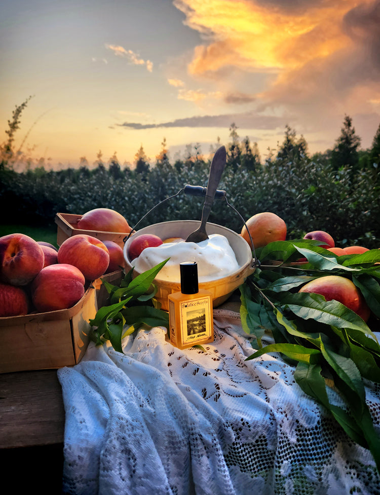 SOLSTICE Iced Nectar EdP