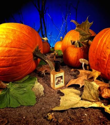 solstice scents gunnerson's pumpkin patch
