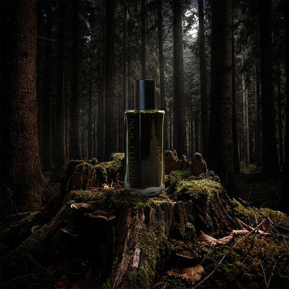PINEWARD Nocturnis Extrait
