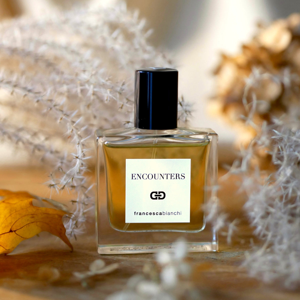 FRANCESCA BIANCHI Encounters Extrait