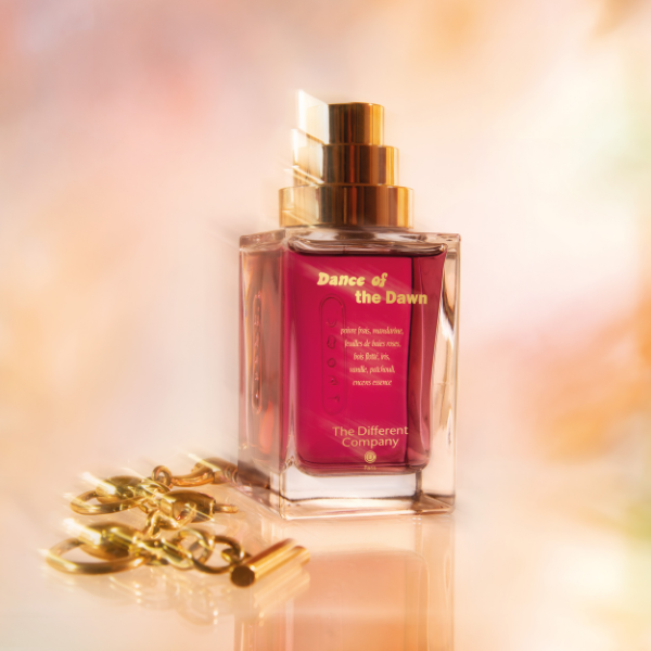 THE DIFFERENT COMPANY Dance Of The Dawn EdP