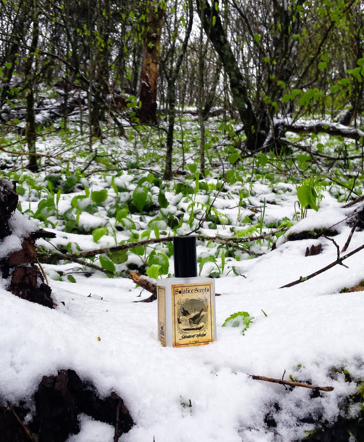 SOLSTICE Snowmint Mallow EdP